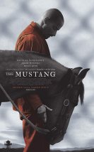 Mustang: Yabani At-Seyret
