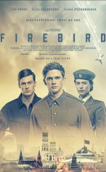 Firebird -Seyret